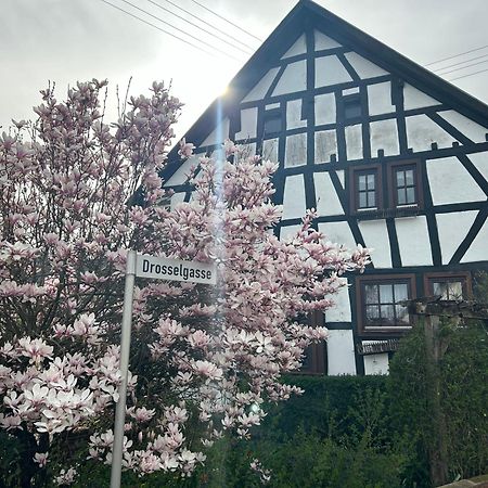 Das Pautzen Haus Daun Eksteriør billede