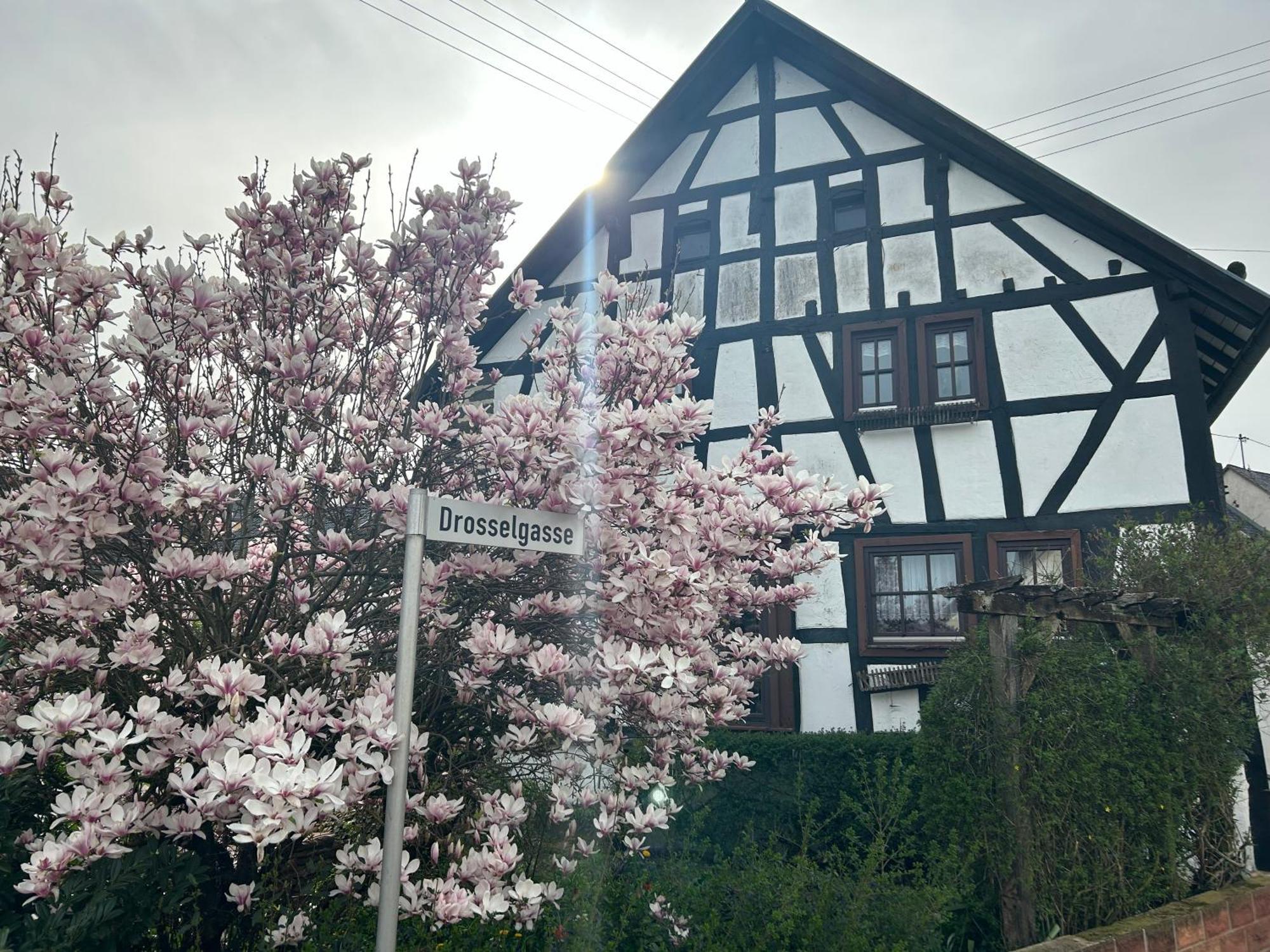 Das Pautzen Haus Daun Eksteriør billede