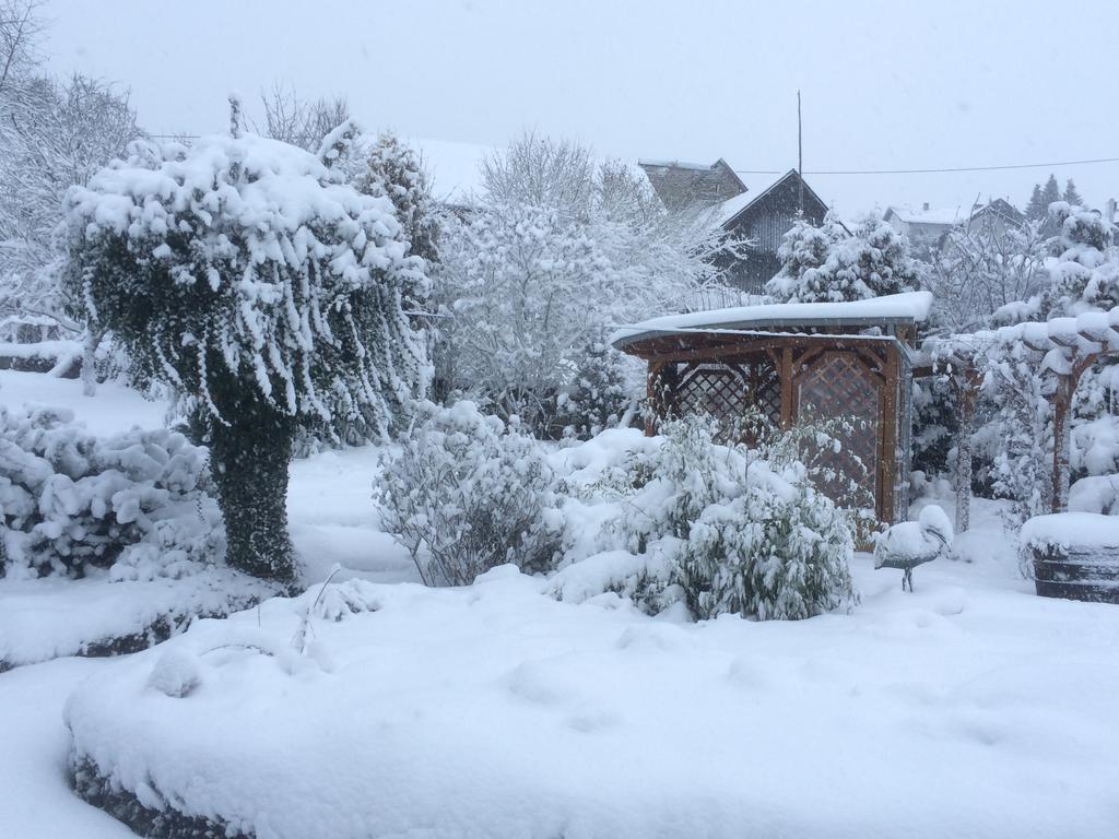 Das Pautzen Haus Daun Eksteriør billede