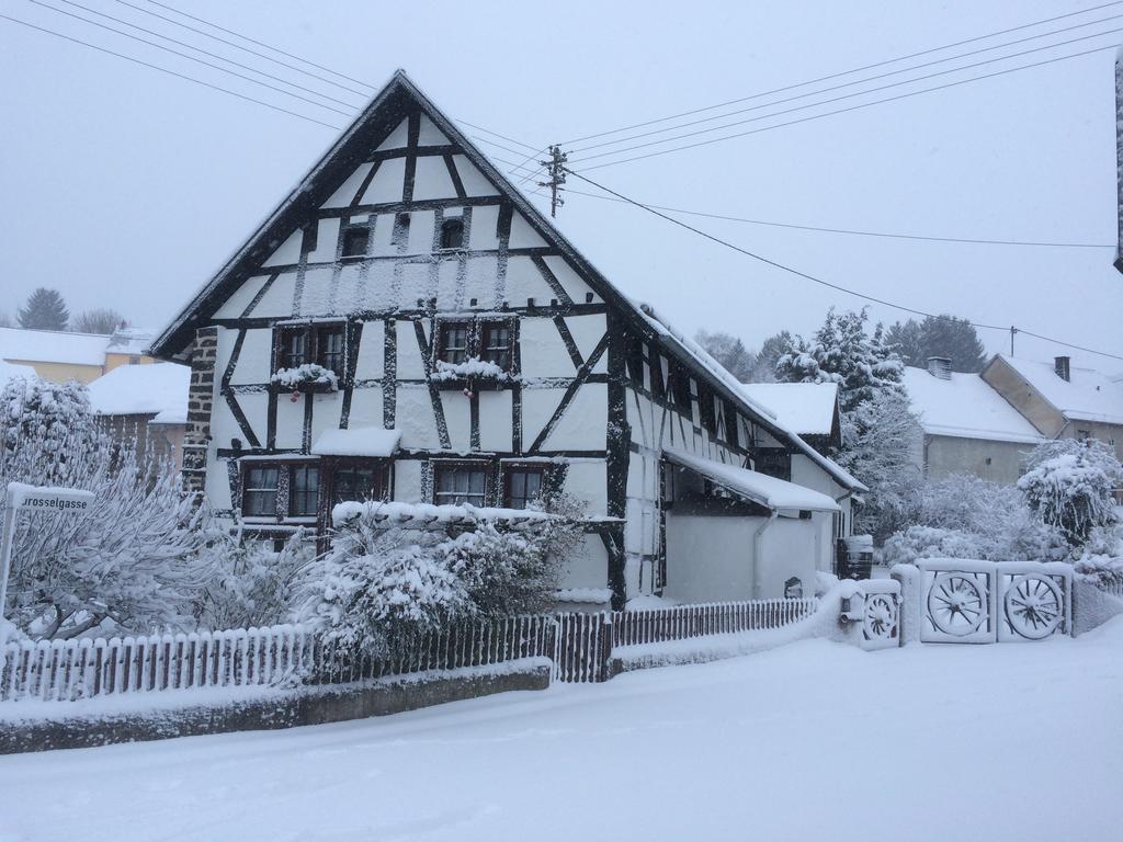 Das Pautzen Haus Daun Eksteriør billede